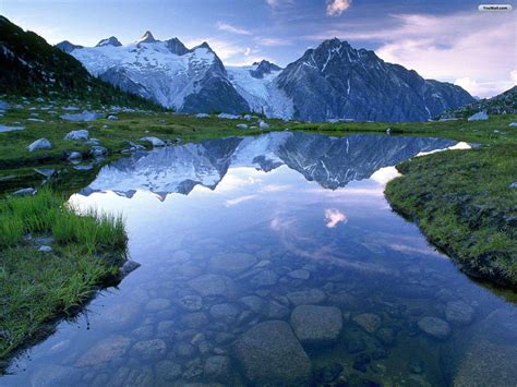landscape 1