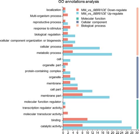 Image result for Go Annotation Analysis Step