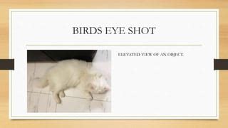 Top View Camera Angle 的图像结果