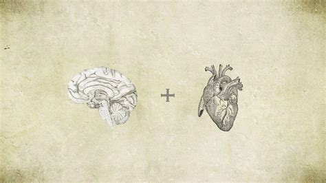 Anatomical Heart Wallpapers - Top Free Anatomical Heart Backgrounds - WallpaperAccess - Anatomy Human Heart Wallpaper