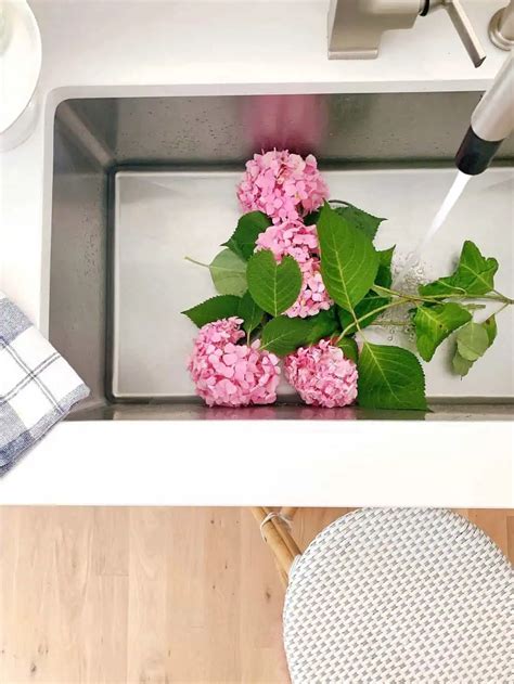 How I Keep Cut Hydrangeas From Wilting | Chrissy Marie Blog
