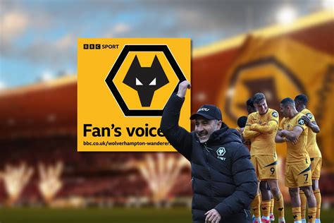 Image result for Wolves Survival