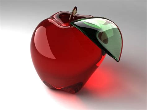 Image result for Apple User Guide Example