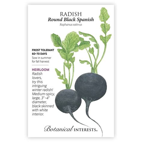 Round Black Spanish Radish Seeds – Botanical Interests