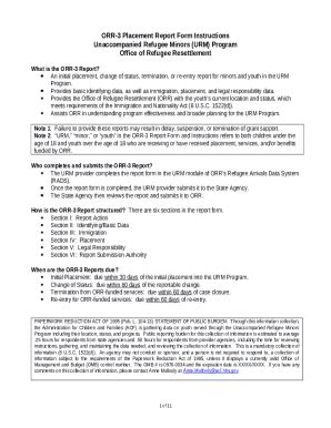 ORR-3 Placement Report Instructions Unaccompanied ... Doc Template ...
