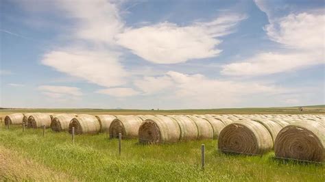 Image result for How Does a Round Baler Net Wrap Work