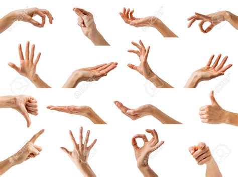Collection of different hands gestures Stock Photo - 26252266 | Hand ...