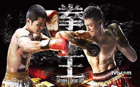 《拳王 2012》完整版在线观看-动作片-星辰影院