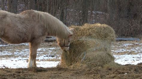 200 Airmen return from deployment