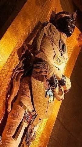 what is the summary of " DISCOVERING TUT : THE SAGA CONTINUES" - Brainly.in