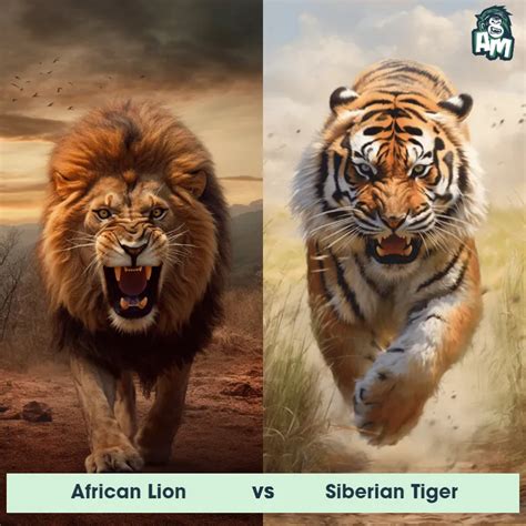 Image result for Rock Python vs Lion