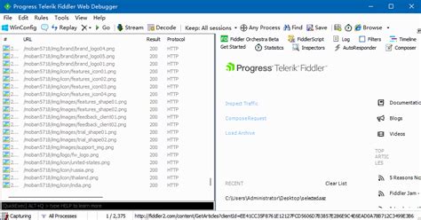Image result for Fiddler IP Puller Tutorial