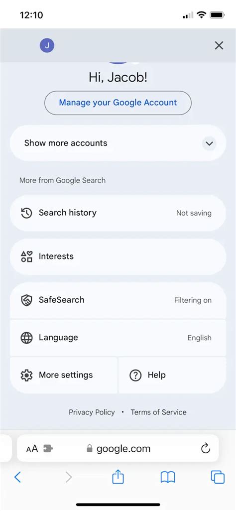 SafeSearch Settings 的图像结果