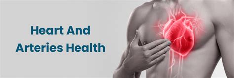 Los mejores alimentos saludables para el corazón y para tener arterias ...