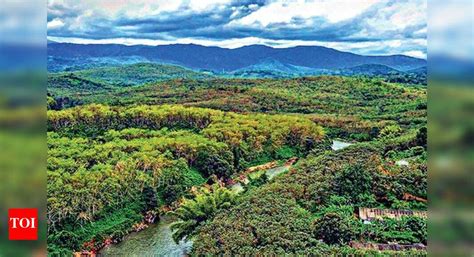 Samajam flays payout for Cheruvally Estate | Thiruvananthapuram News ...