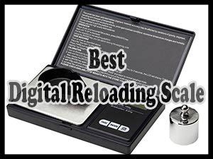Reloading Scale Reviews 的图像结果