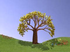 Image result for Teletubbies Magic Tree Low Pitch