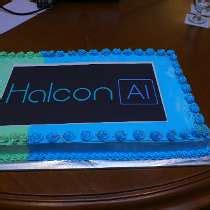 Working at Random Trees | Glassdoor