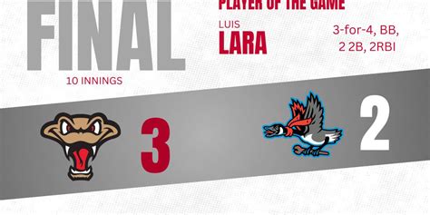 Beloit Sky Carp at Wisconsin Timber Rattlers at Neuroscience Group ...