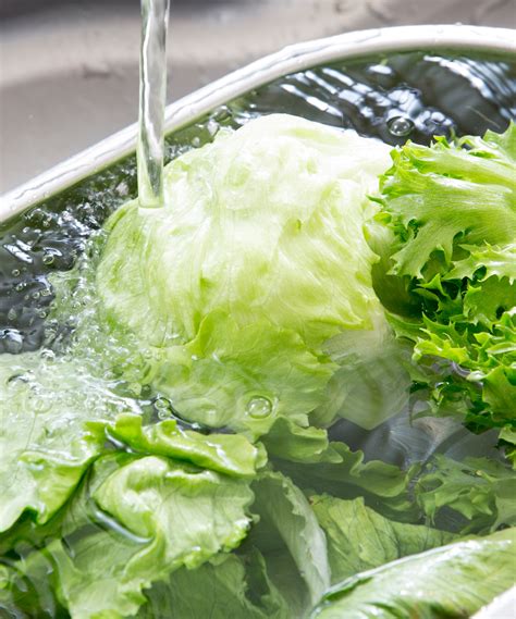 Iceberg Lettuce Dogs at Jackie Roberts blog