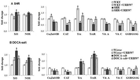 The Effect of Long-Term Administration of Fatty Acid Amide Hydrolase ...