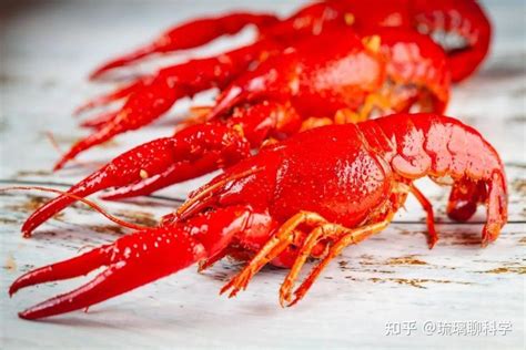 在日本禁止出售，在中国降价出售，小龙虾是失宠了吗？ - 知乎