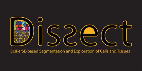 Image result for Dissect