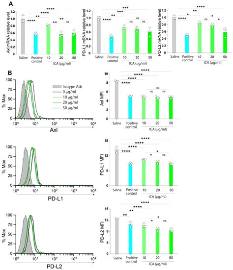 The Fairy Chemical Imidazole-4-carboxamide Inhibits the Expression of ...