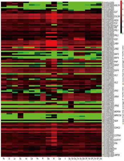 Genome-Wide Identification of Flowering-Time Genes in Brassica Species ...
