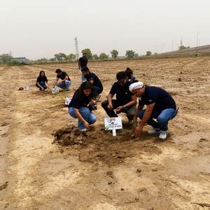 Soudal India Goes Green: Agroforestry on World Environment Day – Grow ...