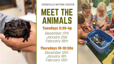 Meet the Animals, 250 N 5th Street, Zionsville, IN, United States ...