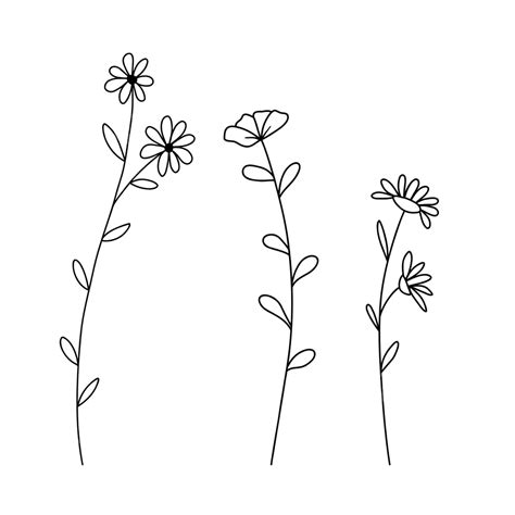 Wildflower Bouquet Drawing