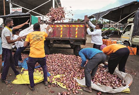 Govt allows 54,760 tonnes onion export to B’desh, Mauritius, Bahrain, Bhutan
