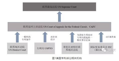 浅谈美国法院系统（下篇） - 专利诉讼法院 - 知乎