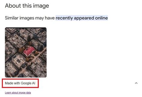 'Miracle house' spared by LA wildfires is AI-generated | Fact Check