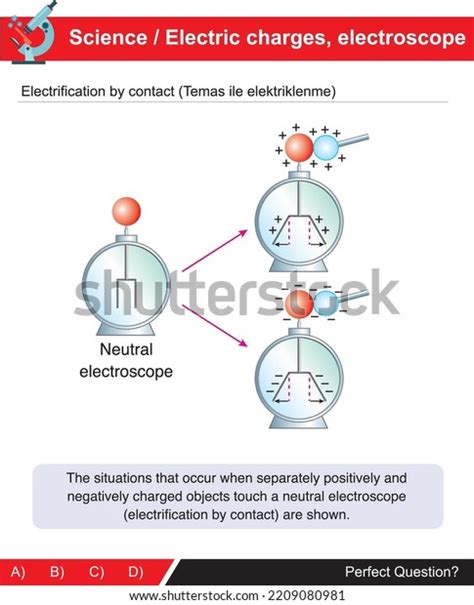 Image result for Neutral Electroscope