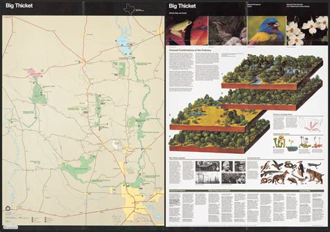 Image result for Cook Levin Maps