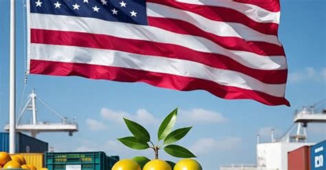 Explainer: How a single paperwork error got 15 Indian mango shipments ...