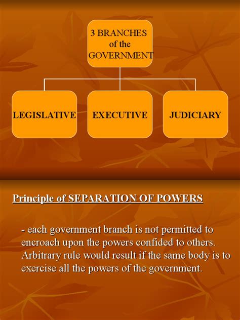 Basic Government Structure 的图像结果