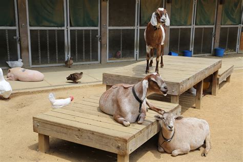 Laguna Honda Hospital & Rehabilitation Center | SF.gov