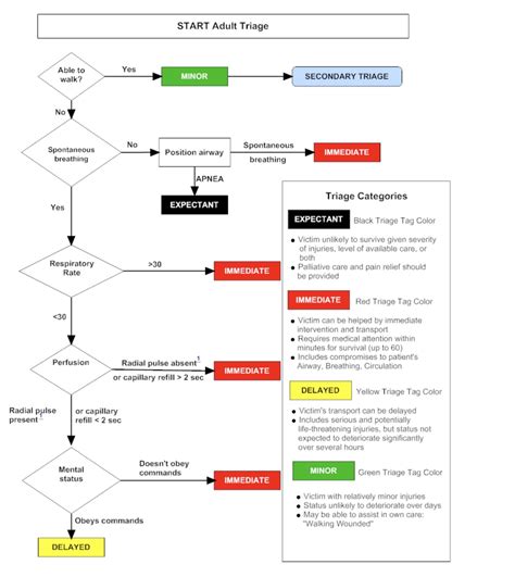 START, SALT, and RAMP Triage in a Mass Casualty Event - Crisis Medicine