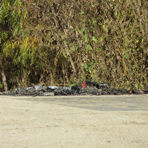 IRON BRIDGE PARK: Tutto quello che c'è da sapere (2025)