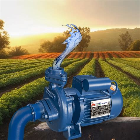 3 Types of Agricultural Pumps You Should Know About | Crompton