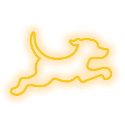 Image result for Amazon Fetch Rewards