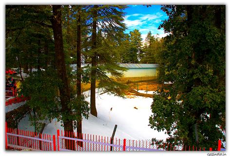 go2india.in : Zoo is full with snow in winter at Kufri