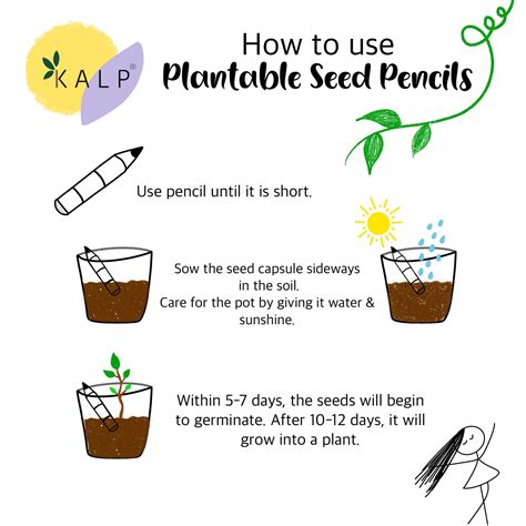 Plantable Seed Pencil – KALP