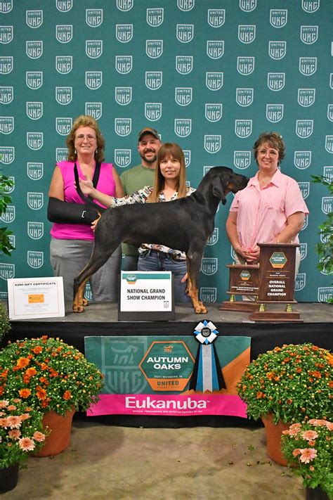 Coonhound News : Congratulations to our Big Winners at the 2024 Autumn ...