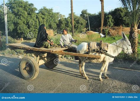 Arabic Women with Sun and Donkey Editorial Photo - Image of family ...
