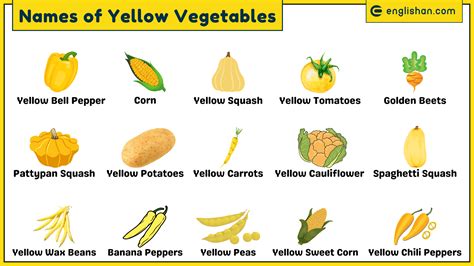 16 Yellow Vegetables Names with Pictures