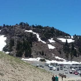 3M Littman® CORE Digital Stethoscope, Black Chestpiece, Tube, Stem and ...